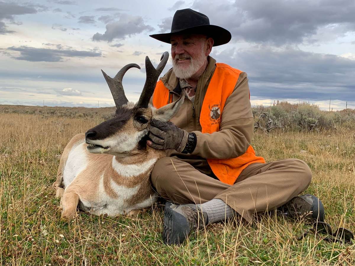 Colorado Pronghorn Buck